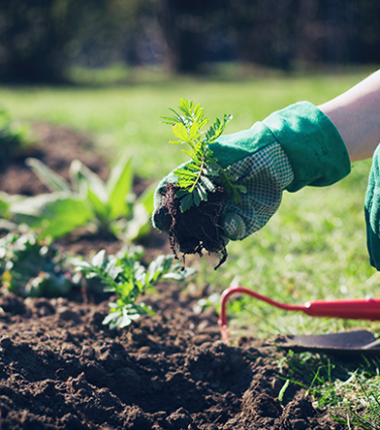 ETAP-FREDERIC-LARGUIER-image
