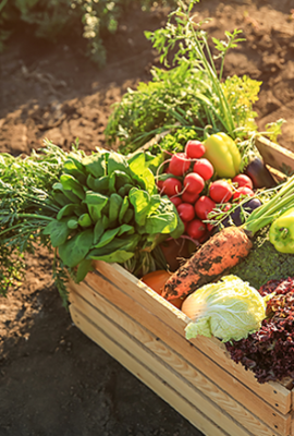 ETAP-FREDERIC-LARGUIER-img2